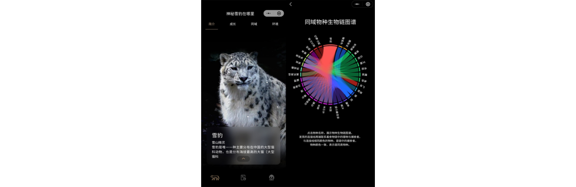 无锡小禾呈科技-互联网数字化开发专家 无锡小禾呈科技-互联网数字化开发专家
